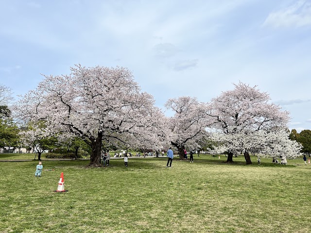 江戶川區花火大會（第51回）